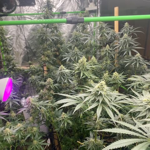 Baker bros  growlog timeline photo