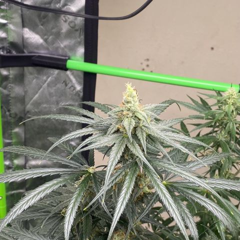 Baker bros  growlog timeline photo