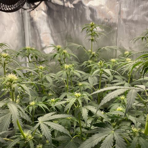 "Hot Damn!" growlog photo: 🥰