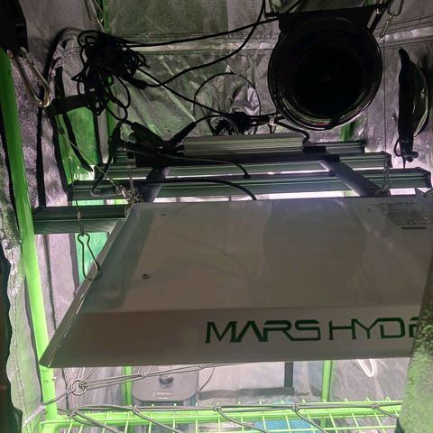 Crescendo Rbx1 growlog photo: Cable management 