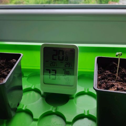 Queen #1 (Skunk) growlog timeline photo