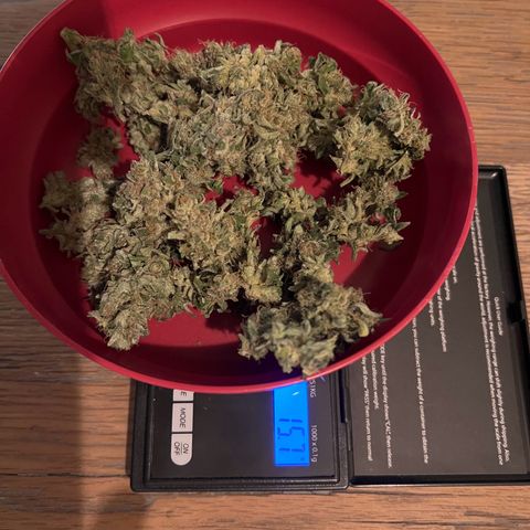 Royal critical growlog timeline photo