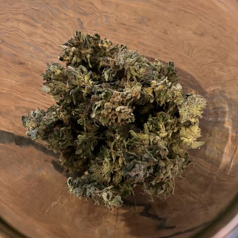Royal critical growlog timeline photo