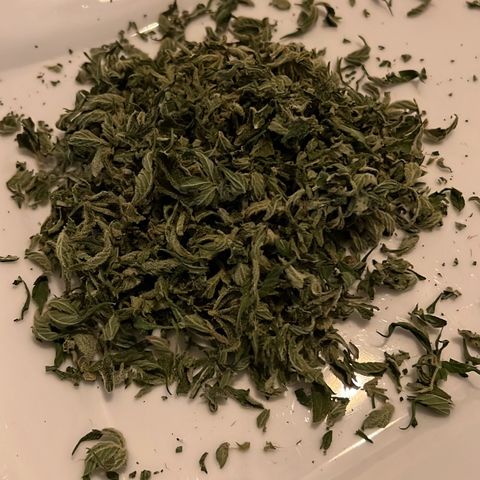Royal critical growlog timeline photo