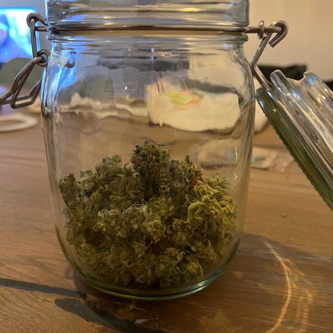 Royal critical growlog timeline photo