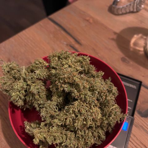 Royal Cookies auto growlog timeline photo
