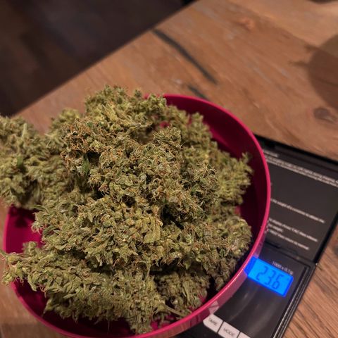 Royal Cookies auto growlog timeline photo