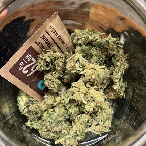 Royal critical growlog timeline photo