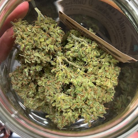 Royal Cookies auto growlog timeline photo