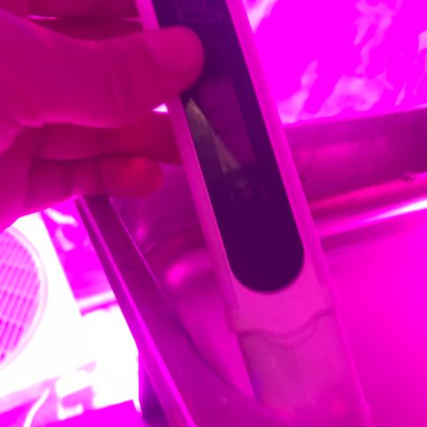 Lemmy (Clone) growlog photo: Outflow 