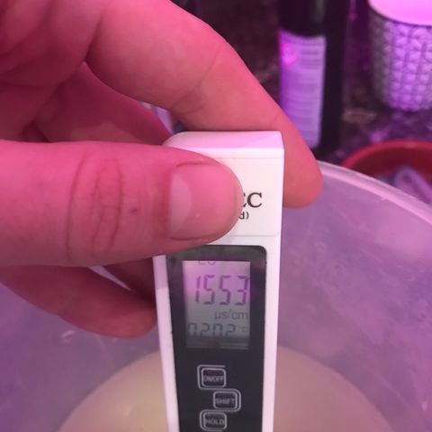 Lemmy (Clone) growlog photo: Inflow 1200
Outflow 1600