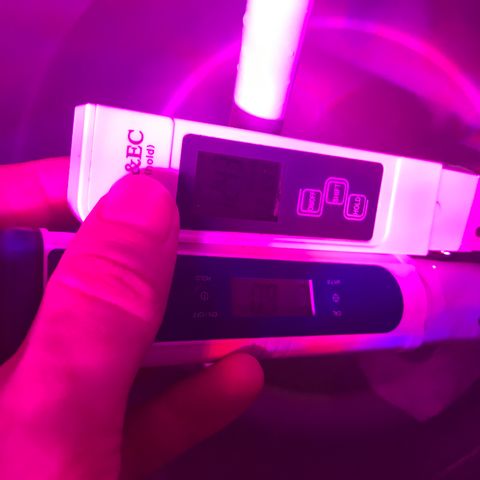 George Clone-y growlog photo: New inflow