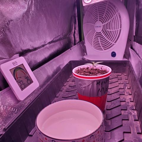 Mystery Mary  growlog photo: Mystery Mary's Home