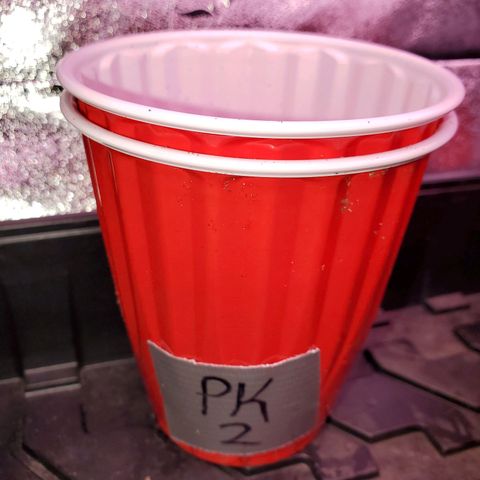 Purple Kush #2 growlog photo: PK #2