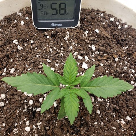 Geloctane  growlog timeline photo