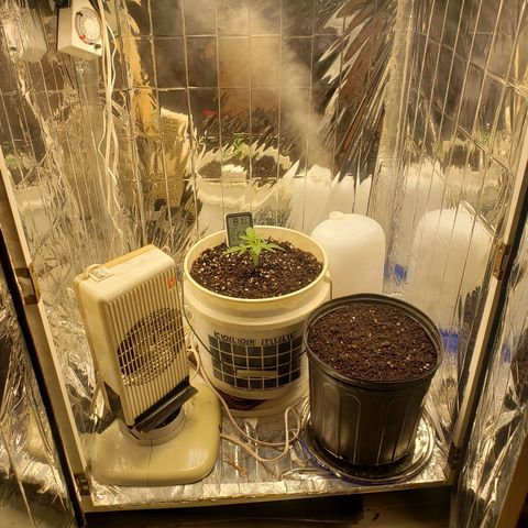 Geloctane  growlog timeline photo