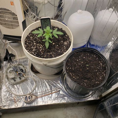Geloctane  growlog timeline photo