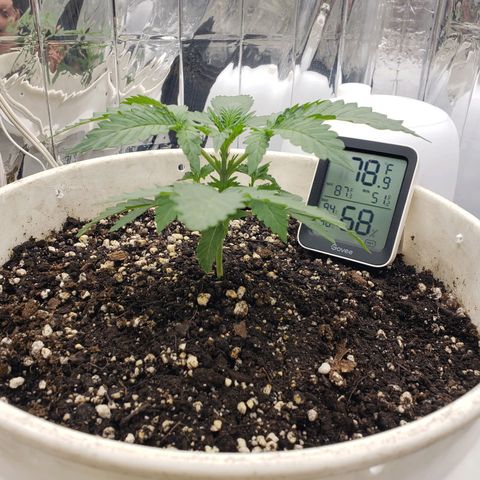 Geloctane  growlog timeline photo