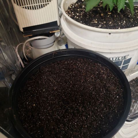Geloctane  growlog timeline photo