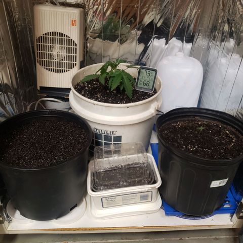 Geloctane  growlog timeline photo