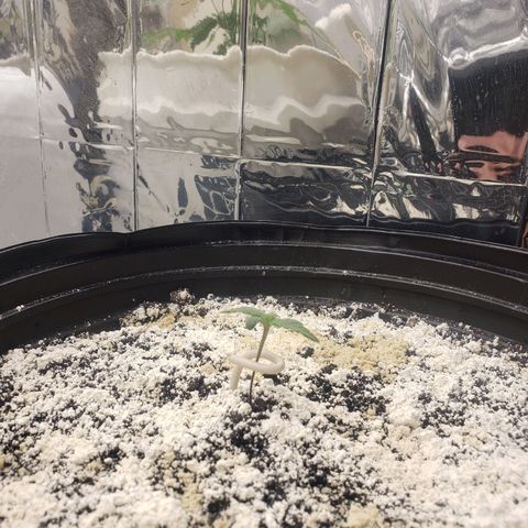 Geloctane  growlog timeline photo