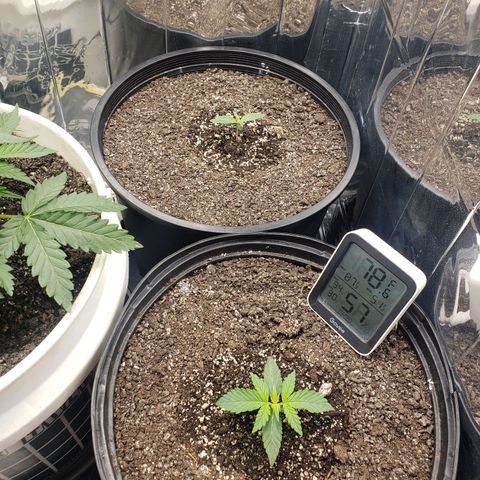 Geloctane  growlog timeline photo
