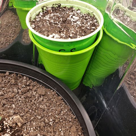 Geloctane  growlog timeline photo