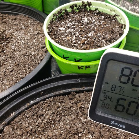 Geloctane  growlog timeline photo