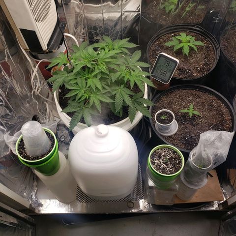 Geloctane  growlog timeline photo