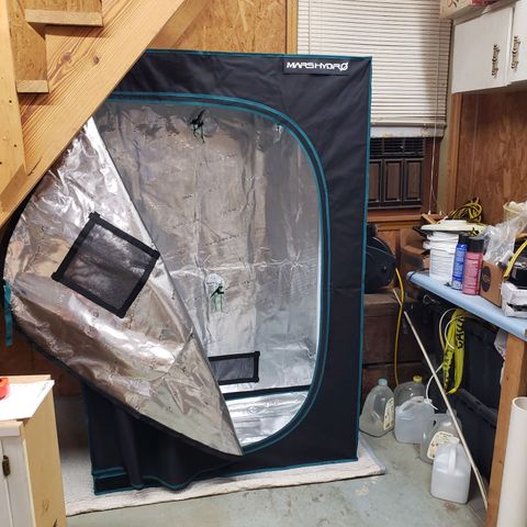 Geloctane  growlog photo: New smart hub set up for veg and flower 