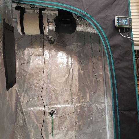 Geloctane  growlog photo: Getting their almost done 🤗