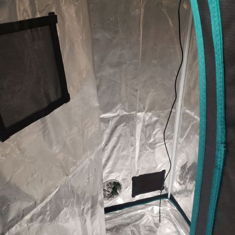 Geloctane  growlog photo: Getting their almost done 🤗