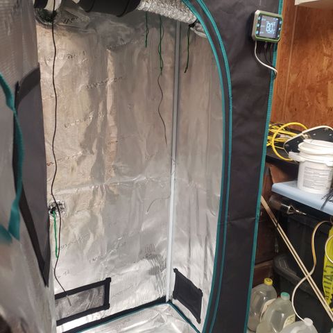 Geloctane  growlog photo: Getting their almost done 🤗