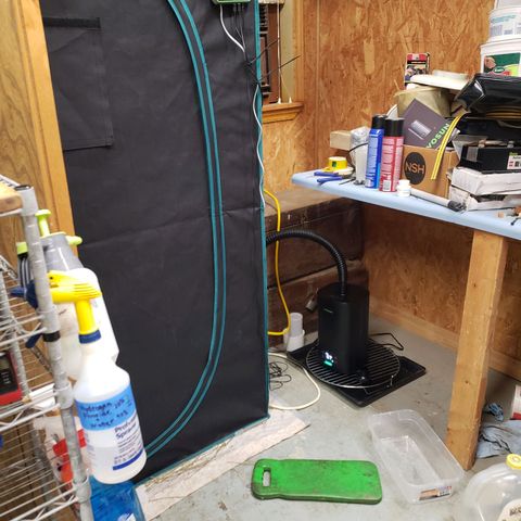 Geloctane  growlog photo: Set up the new H05 humidifier 2:30pm  everything seemed to be working okay  So far I will check on it soon.