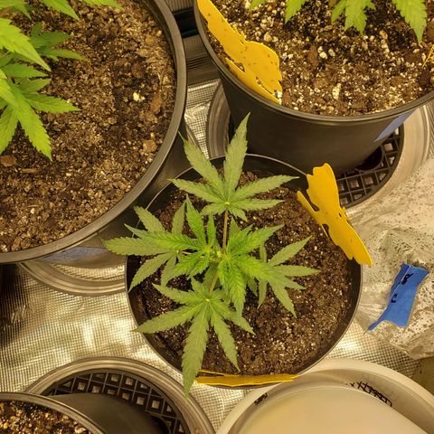 Geloctane  growlog photo: Installed my 12,000btu ac 