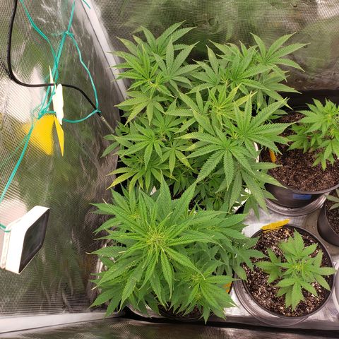 Geloctane  growlog photo: Installed my 12,000btu ac 