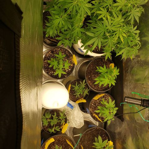 Geloctane  growlog photo: Installed my 12,000btu ac 
