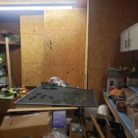 Geloctane  growlog photo: Constructed a lung room in garage 