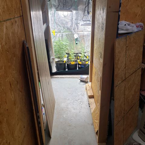 Geloctane  growlog photo: Raised the light 8:30am 22-24in 