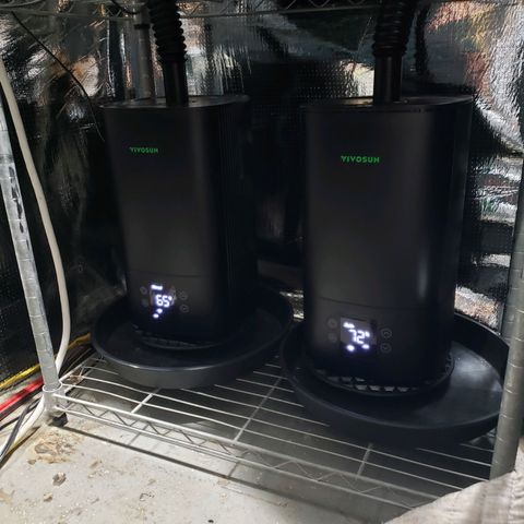 Geloctane  growlog photo: Looking official 