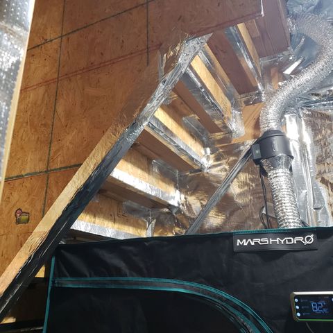 Geloctane  growlog photo: Looking official 