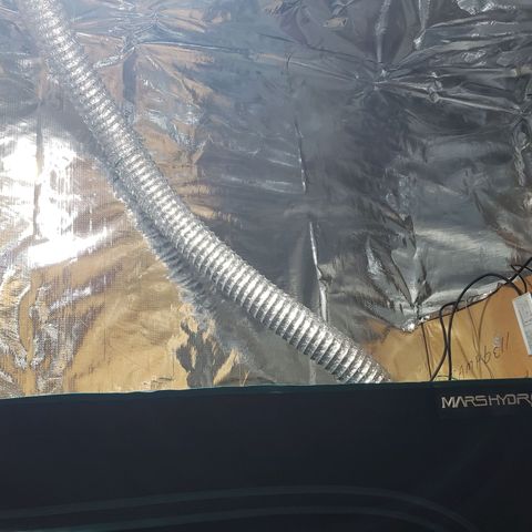Geloctane  growlog photo: Looking official 
