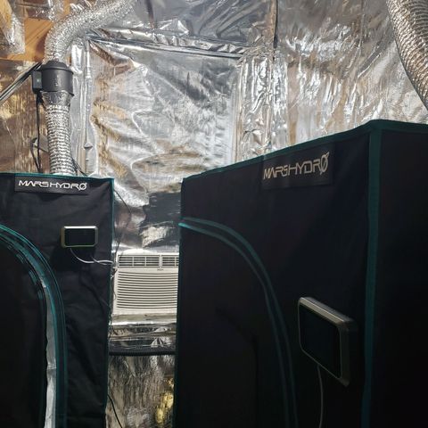 Geloctane  growlog photo: Looking official 