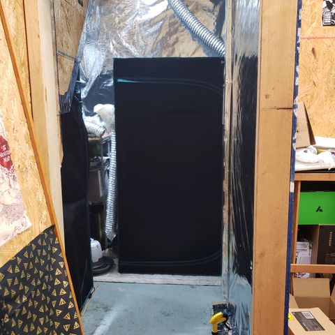 Geloctane  growlog photo: Looking official 