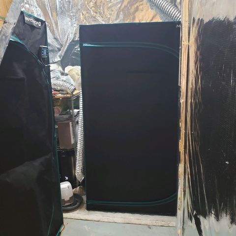 Geloctane  growlog photo: Looking official 
