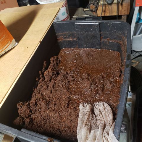 Geloctane  growlog photo: Rehydrated and rinsed Cocoa coir and now letting it sit in a buffer solution of cal mag 12:30am to 8:30am will be 8hrs then I will rinse and repeat 1 more time 