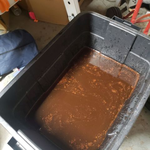 Geloctane  growlog photo: Rehydrated and rinsed Cocoa coir and now letting it sit in a buffer solution of cal mag 12:30am to 8:30am will be 8hrs then I will rinse and repeat 1 more time 