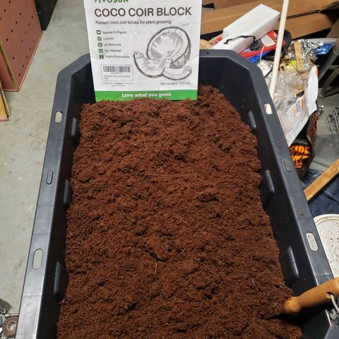 Geloctane  growlog photo: Rehydrated and rinsed Cocoa coir and now letting it sit in a buffer solution of cal mag 12:30am to 8:30am will be 8hrs then I will rinse and repeat 1 more time 