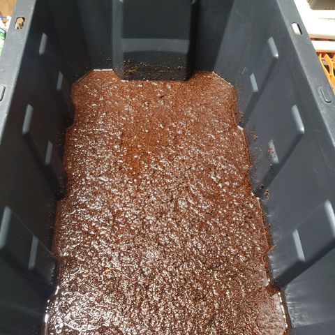 Geloctane  growlog photo: Trimmed geloctane and coco coir should be done the 1st buffering 9:00am