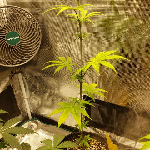 Geloctane  growlog photo: It looks like they took the feeding well